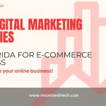 Top Digital Marketing Agencies in Florida for E-Commerce Success