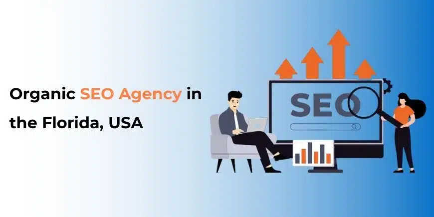 Organic SEO Agency