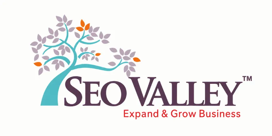 SEOValley Solutions Private Limited